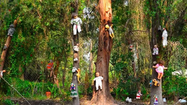 Khám phá hòn đảo đáng sợ nhất thế giới - Hình 5 Kham pha hon dao dang so nhat the gioi-Hinh-5