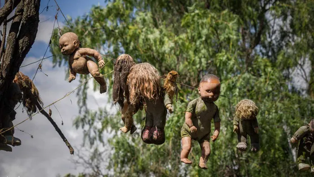 Khám phá hòn đảo đáng sợ nhất thế giới - Hình 6 Kham pha hon dao dang so nhat the gioi-Hinh-6