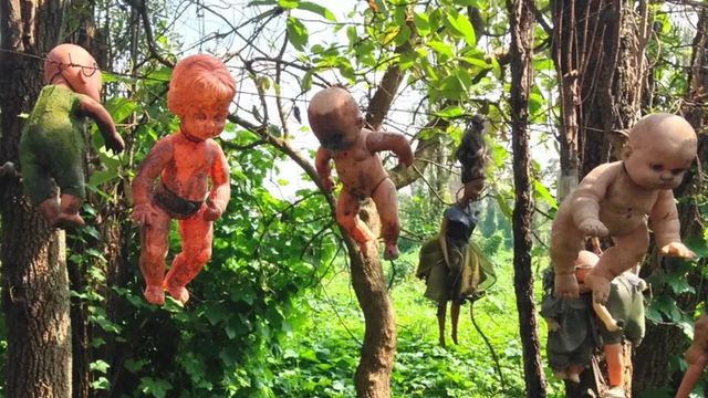 Khám phá hòn đảo đáng sợ nhất thế giới - Hình 7 Kham pha hon dao dang so nhat the gioi-Hinh-7