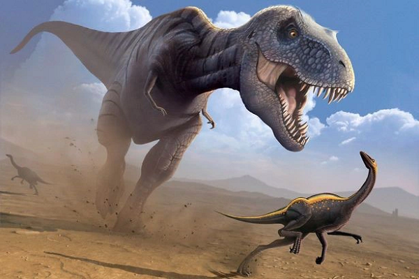 Quái vật T-rex thực chất chỉ là loài chuyên 'cắn trộm' để tồn tại - Hình 3 Quai vat T-rex thuc chat chi la loai chuyen 'can trom' de ton tai-Hinh-3
