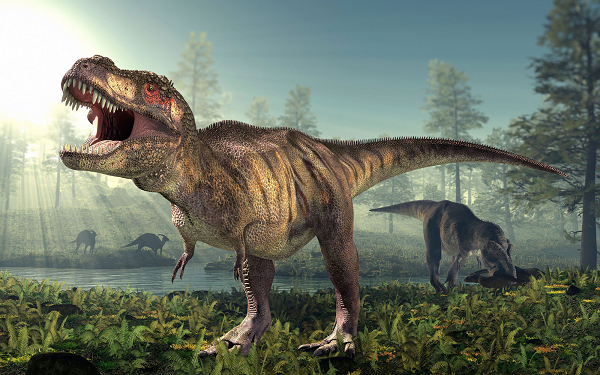 Quái vật T-rex thực chất chỉ là loài chuyên 'cắn trộm' để tồn tại Quai vat T-rex thuc chat chi la loai chuyen 'can trom' de ton tai