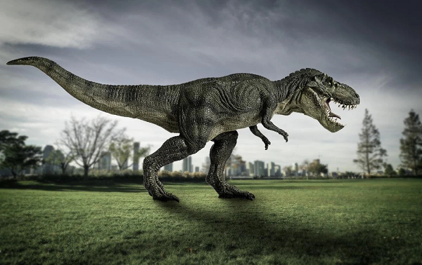 Quái vật T-rex thực chất chỉ là loài chuyên 'cắn trộm' để tồn tại - Hình 2 Quai vat T-rex thuc chat chi la loai chuyen 'can trom' de ton tai-Hinh-2
