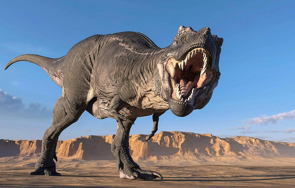 Quái vật T-rex thực chất chỉ là loài chuyên 'cắn trộm' để tồn tại - Hình 5 Quai vat T-rex thuc chat chi la loai chuyen 'can trom' de ton tai-Hinh-5