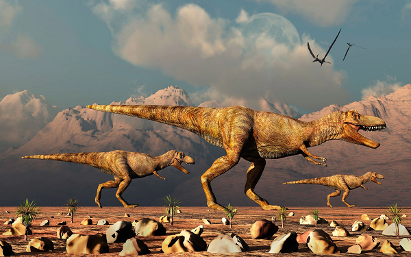 Quái vật T-rex thực chất chỉ là loài chuyên 'cắn trộm' để tồn tại - Hình 10 Quai vat T-rex thuc chat chi la loai chuyen 'can trom' de ton tai-Hinh-10
