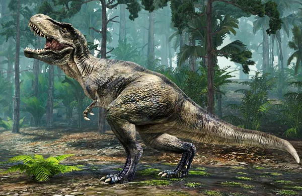 Quái vật T-rex thực chất chỉ là loài chuyên 'cắn trộm' để tồn tại - Hình 7 Quai vat T-rex thuc chat chi la loai chuyen 'can trom' de ton tai-Hinh-7