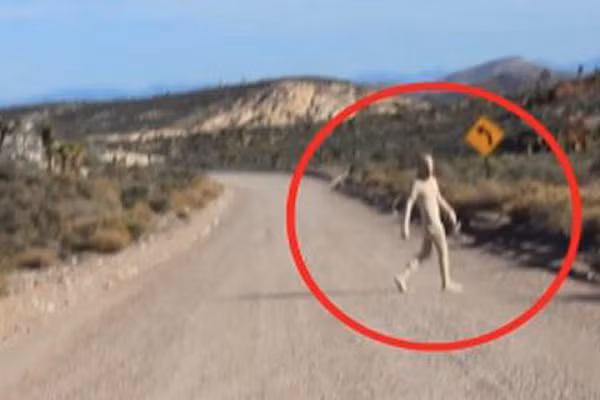 He lo ve noi bi nghi “giam giu” nguoi ngoai hanh tinh-Hinh-4