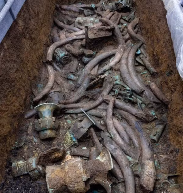 Phat hien 1.000 nga voi co dai nhung khong muon khai quat vi dieu bat ngo nay-Hinh-9