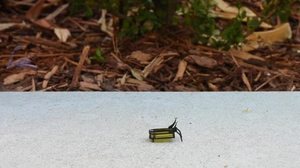 Chế tạo robot chạy bằng rượu sẽ cày việc cả tiếng đồng hồ - Hình 8 Che tao robot chay bang ruou se cay viec ca tieng dong ho-Hinh-8