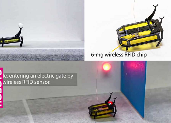 Chế tạo robot chạy bằng rượu sẽ cày việc cả tiếng đồng hồ - Hình 10 Che tao robot chay bang ruou se cay viec ca tieng dong ho-Hinh-10