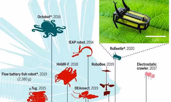 Che tao robot chay bang ruou se cay viec ca tieng dong ho-Hinh-6