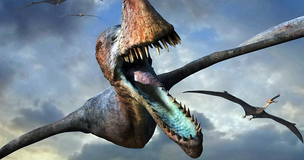 Sửng sốt thằn lằn bay Ptero biết cất cánh ngay khi chào đời - Hình 11 Sung sot than lan bay Ptero biet cat canh ngay khi chao doi-Hinh-11