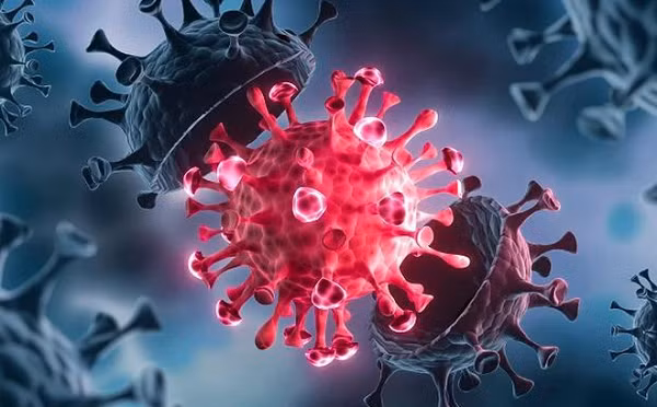 Vi sao chuyen gia canh bao ve bien the COVID-19 khang vac xin?-Hinh-6