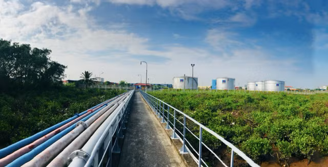 Petec: Bao gio xoa duoc lo luy ke va xu ly loat van de con ton tai?