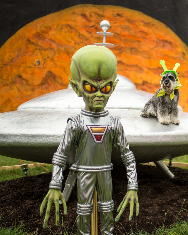 Ngoại hình và trang phục của người ngoài hành tinh như thế nào? - Hình 9 Ngoai hinh va trang phuc cua nguoi ngoai hanh tinh nhu the nao?-Hinh-9