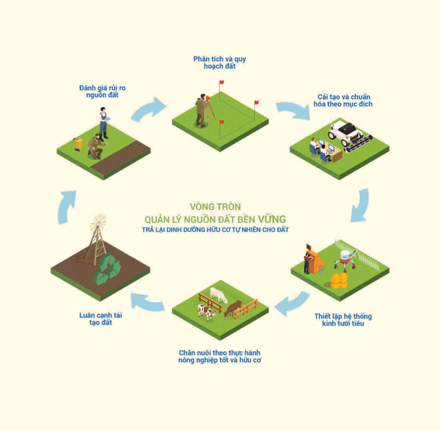 Phat trien nong nghiep ben vung: Nhin tu he thong trang trai bo sua Vinamilk-Hinh-3