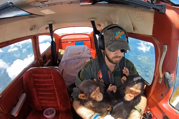 The gioi dong vat ky dieu qua nhung buc anh noi bat nhat 2021-Hinh-9