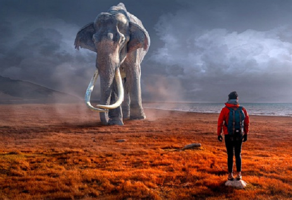 Chuyên gia lý giải bí ẩn giấc mơ chung hàng nghìn người đều gặp - Hình 8 Chuyen gia ly giai bi an giac mo chung hang nghin nguoi deu gap-Hinh-8