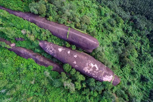Nhung bi an ton tai hang tram nam van chua the ly giai-Hinh-5