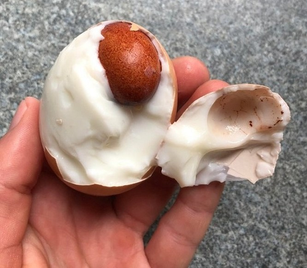 Vô vàn điều kỳ diệu may mắn lắm mới nhìn thấy trong đời - Hình 8 Vo van dieu ky dieu may man lam moi nhin thay trong doi-Hinh-8