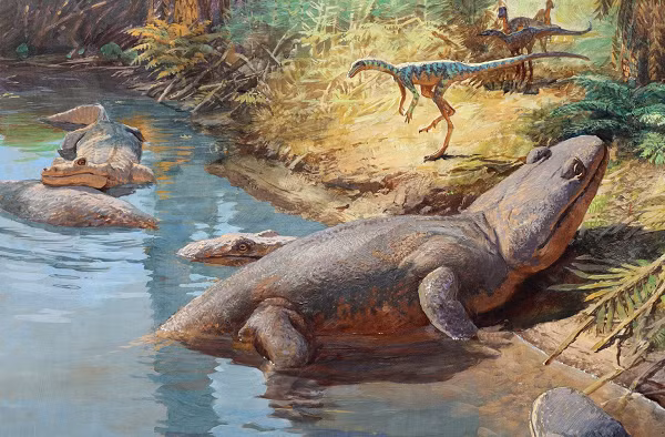 Phat hien sinh vat bi an hoa thach tren vach da bi xoi mon-Hinh-12