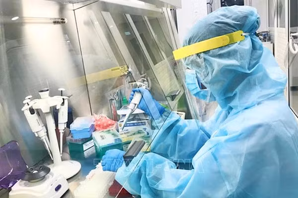 Cuc nong: Chuyen gia du bao dai dich tiep theo bat nguon tu chuot-Hinh-8