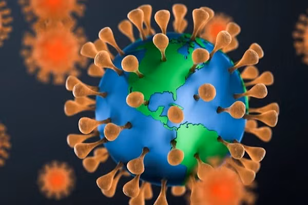 Cuc nong: Chuyen gia du bao dai dich tiep theo bat nguon tu chuot-Hinh-7