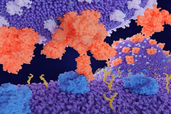 Cuc nong: Chuyen gia du bao dai dich tiep theo bat nguon tu chuot-Hinh-10