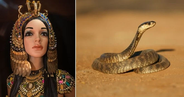 Bí ẩn những cái chết chấn động cả thế giới - Hình 4 Bi an nhung cai chet chan dong ca the gioi-Hinh-4