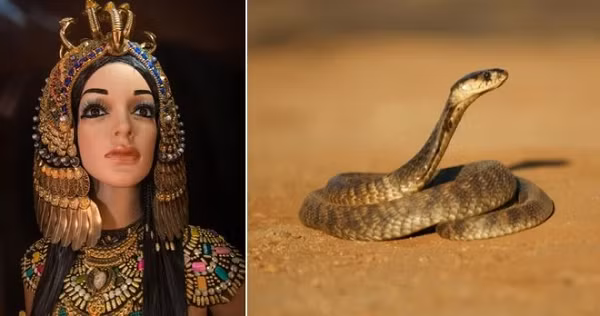 Bi an nhung cai chet chan dong ca the gioi-Hinh-4