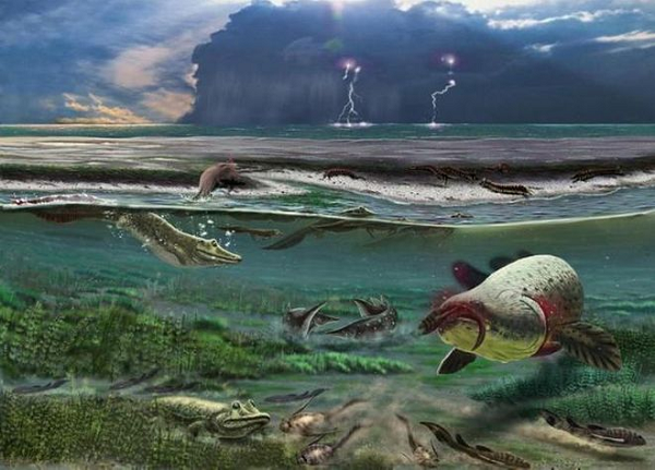 Hé lộ nguyên nhân dẫn đến cuộc tuyệt chủng bí ẩn cuối kỷ Ordovic - Hình 5 He lo nguyen nhan dan den cuoc tuyet chung bi an cuoi ky Ordovic-Hinh-5