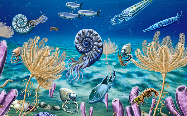 Hé lộ nguyên nhân dẫn đến cuộc tuyệt chủng bí ẩn cuối kỷ Ordovic - Hình 9 He lo nguyen nhan dan den cuoc tuyet chung bi an cuoi ky Ordovic-Hinh-9