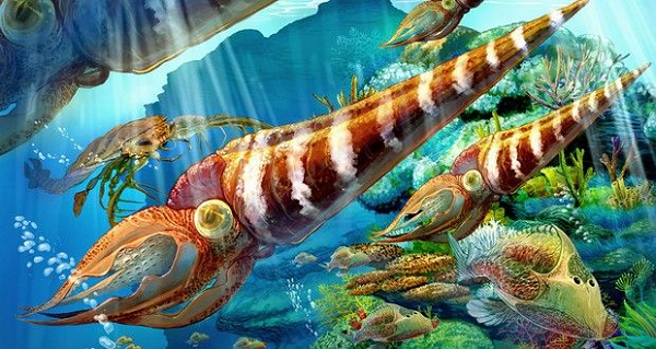 Hé lộ nguyên nhân dẫn đến cuộc tuyệt chủng bí ẩn cuối kỷ Ordovic He lo nguyen nhan dan den cuoc tuyet chung bi an cuoi ky Ordovic