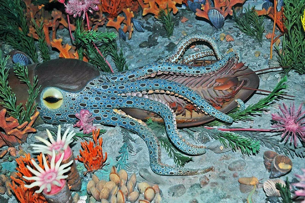 Hé lộ nguyên nhân dẫn đến cuộc tuyệt chủng bí ẩn cuối kỷ Ordovic - Hình 3 He lo nguyen nhan dan den cuoc tuyet chung bi an cuoi ky Ordovic-Hinh-3