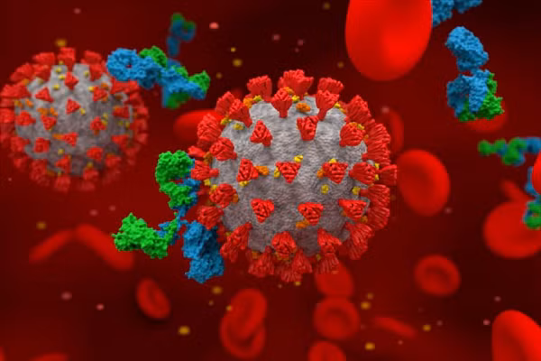 SARS-CoV-2 hoanh hanh manh nhat mua nao trong nam?-Hinh-10