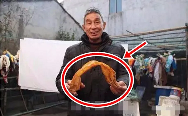 Phơi bong bóng cá, sau 38 năm giá trị đắt hơn vàng Phoi bong bong ca, sau 38 nam gia tri dat hon vang