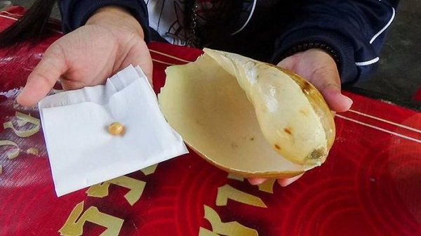 Vớ bẫm kho báu gần 7 tỷ khi mua ốc về ăn Vo bam kho bau gan 7 ty khi mua oc ve an