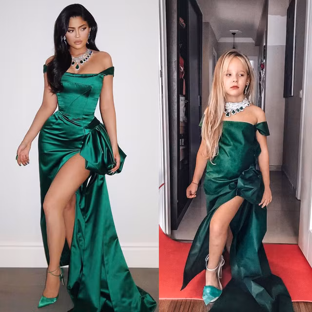 Hai me con tai hien vay hieu tu vat lieu gan gui-Hinh-5