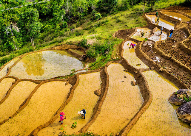 Yên bình Tu Mơ Rông - Hình 5 Yen binh Tu Mo Rong-Hinh-5