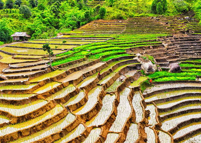 Yên bình Tu Mơ Rông - Hình 6 Yen binh Tu Mo Rong-Hinh-6