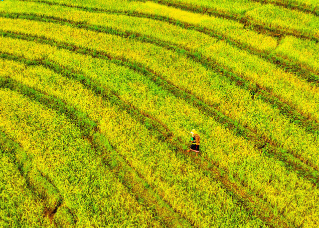 Yên bình Tu Mơ Rông - Hình 7 Yen binh Tu Mo Rong-Hinh-7