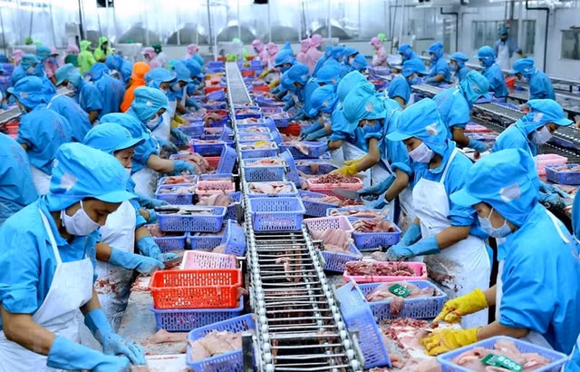 Thuy san Viet An: Tong giam doc bi tam giam, truy na nguyen Tong giam doc