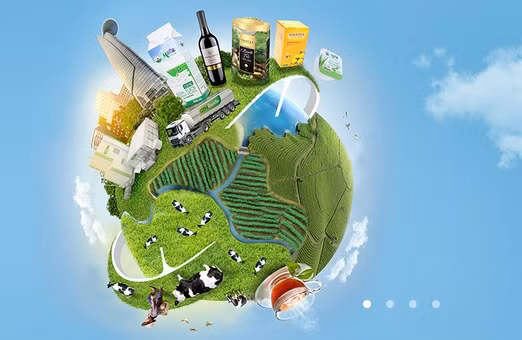 Vinamilk se gom them 41 trieu co phieu GTN tu Invest Tay Dai Duong?