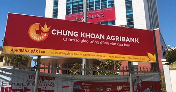 Bán khoản đầu tư vào HNG, Chứng khoán Agribank tăng lãi thêm 136 tỷ sau soát xét - Hình 2 Ban khoan dau tu vao HNG, Chung khoan Agribank tang lai them 136 ty sau soat xet-Hinh-2