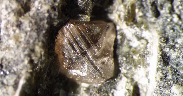 Phat hien “kho bau” 1.800 nam o Nam Cuc: Rung minh nguon goc!-Hinh-4