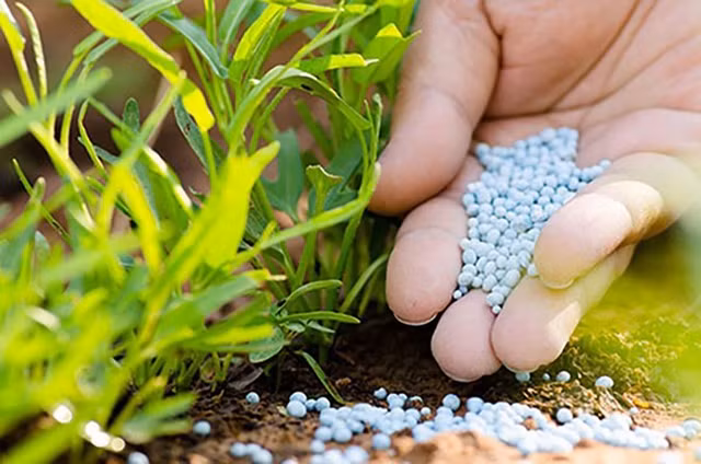 VCSC: Gia khi, dau tho va than tang ho tro muc gia ure cao