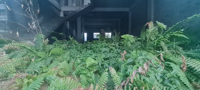 Can canh loat shophouse chuc ty bo hoang o Da Nang-Hinh-5