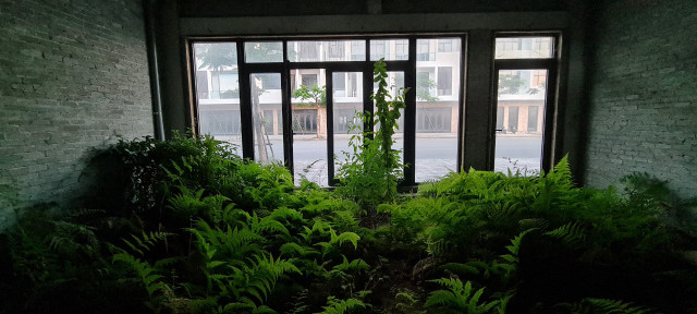 Can canh loat shophouse chuc ty bo hoang o Da Nang-Hinh-8