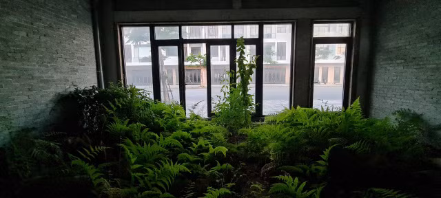 Can canh loat shophouse chuc ty bo hoang o Da Nang-Hinh-8