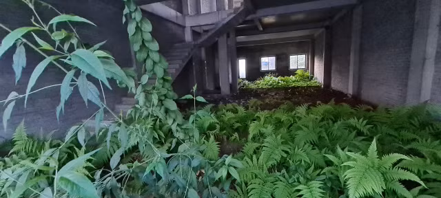 Can canh loat shophouse chuc ty bo hoang o Da Nang-Hinh-7