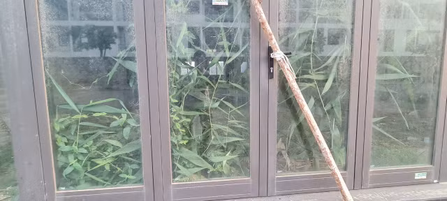 Can canh loat shophouse chuc ty bo hoang o Da Nang-Hinh-4